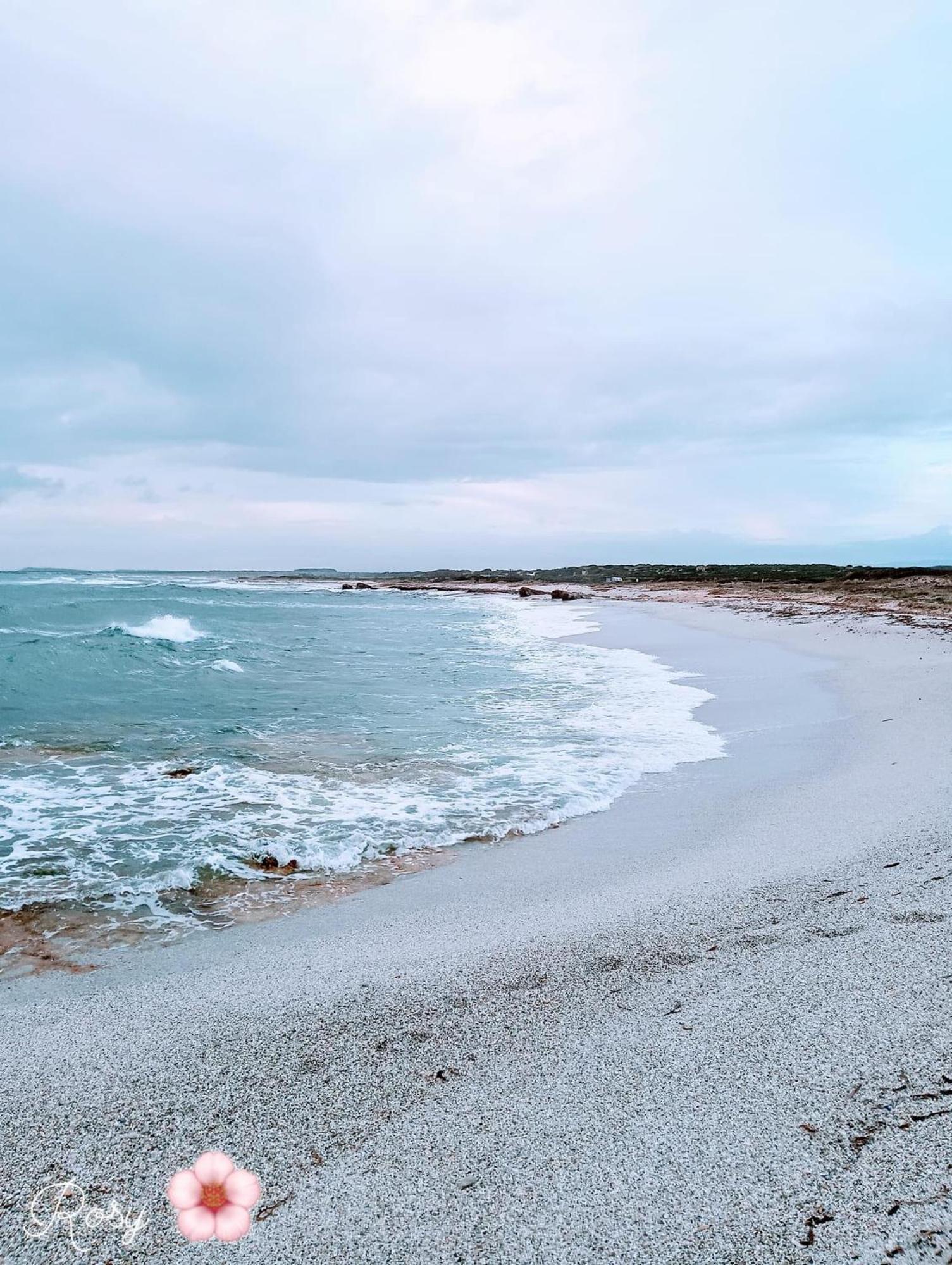 Come A Casa! Oristano Eksteriør billede